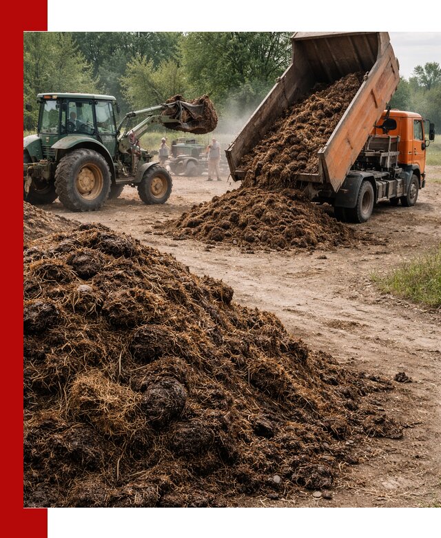 Доставка навоза самосвалами в Кандалакше для сельхозпотребностей